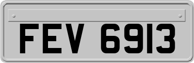 FEV6913