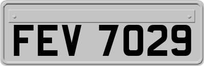 FEV7029