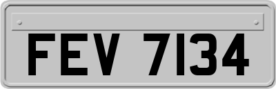 FEV7134