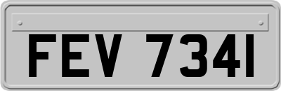 FEV7341