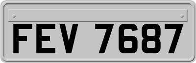 FEV7687