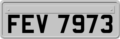 FEV7973
