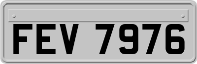 FEV7976