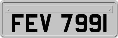 FEV7991