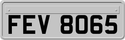 FEV8065