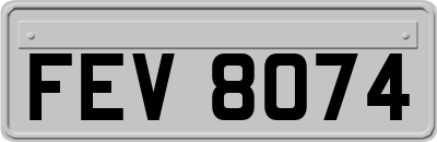FEV8074