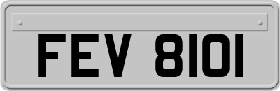 FEV8101
