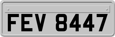 FEV8447