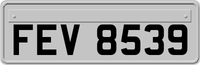 FEV8539