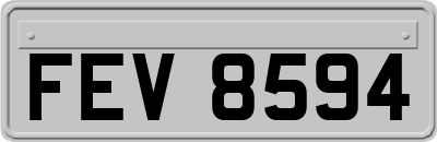 FEV8594