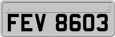 FEV8603