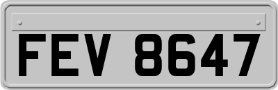 FEV8647