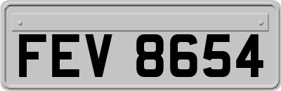 FEV8654