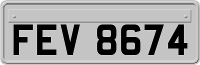 FEV8674
