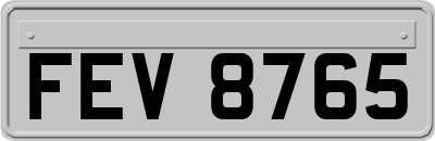 FEV8765