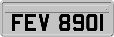FEV8901