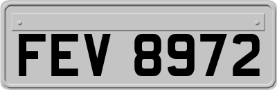 FEV8972