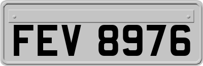 FEV8976