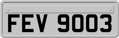 FEV9003