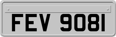FEV9081
