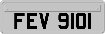 FEV9101