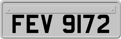 FEV9172