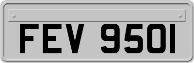 FEV9501