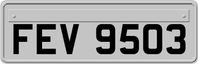 FEV9503