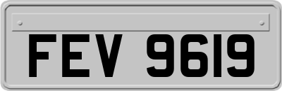 FEV9619