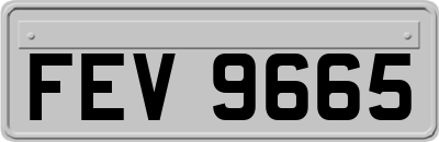 FEV9665