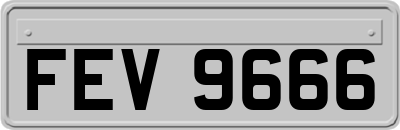 FEV9666