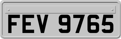 FEV9765