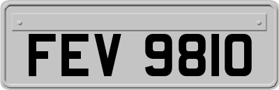 FEV9810