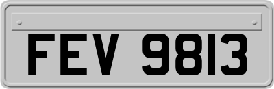 FEV9813