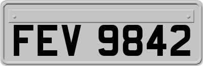 FEV9842