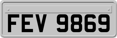 FEV9869