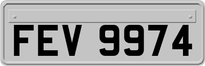 FEV9974
