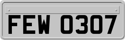 FEW0307