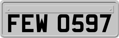 FEW0597