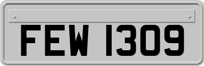 FEW1309