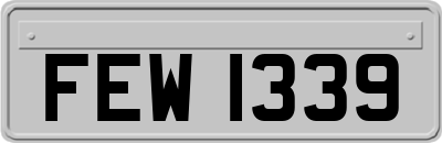 FEW1339