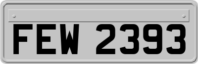 FEW2393