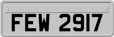 FEW2917