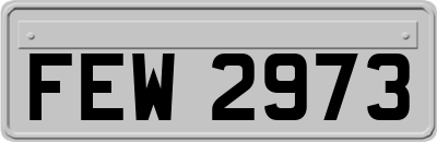 FEW2973