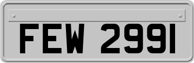 FEW2991