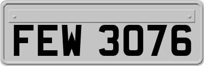 FEW3076