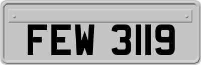 FEW3119
