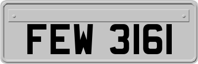 FEW3161