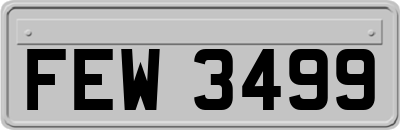 FEW3499