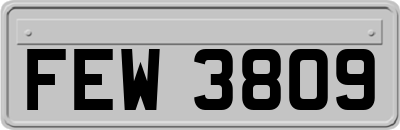 FEW3809